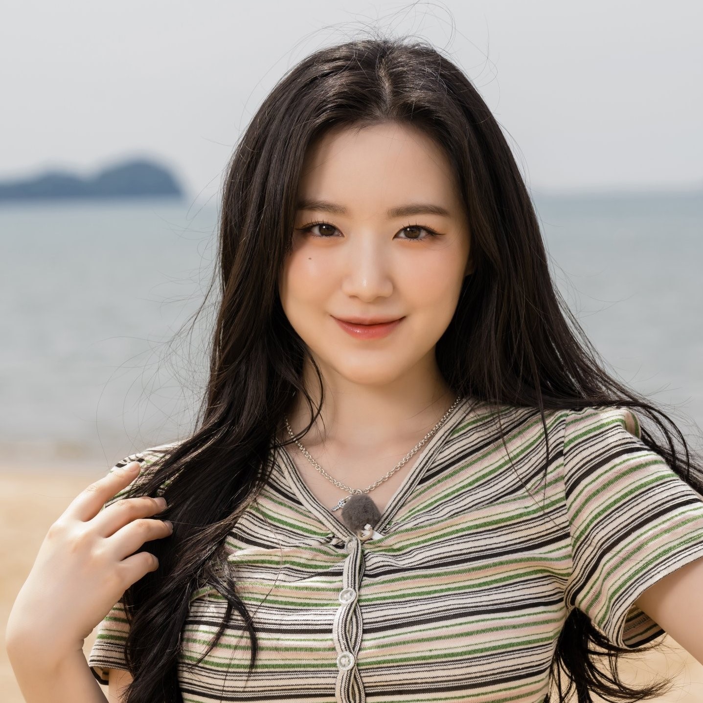 Link to Shuhua facts